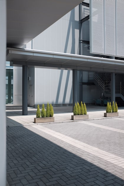 Outdoor Construction: Your Dream Space